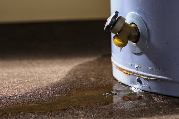 Best Flood restoration services  in Eaton, OH