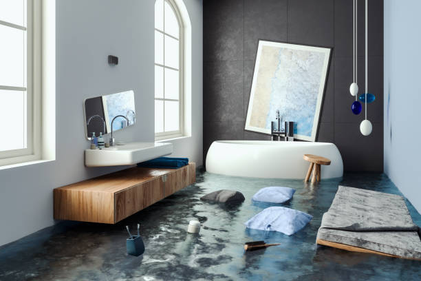 Best Mold removal after water damage  in Eaton, OH