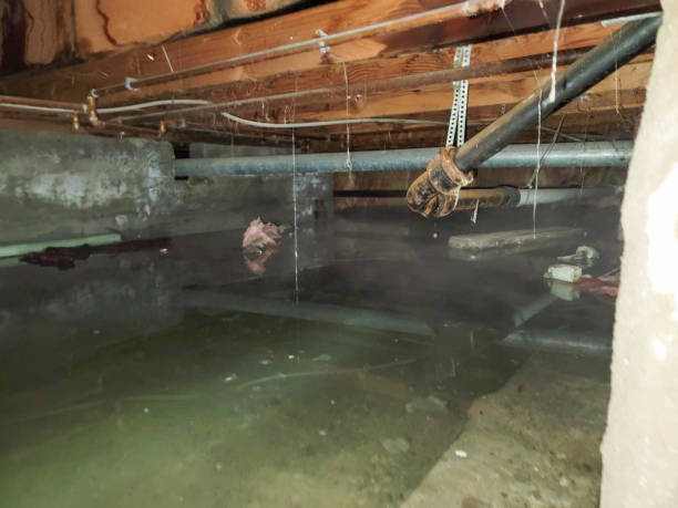 Water damage restoration experts in Eaton, OH