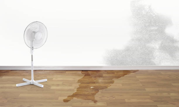 Best Emergency water damage restoration  in Eaton, OH