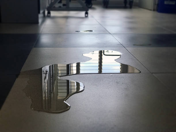 Best Commercial water damage restoration  in Eaton, OH