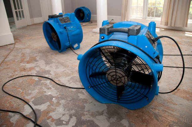 Best 24-hour water damage restoration  in Eaton, OH