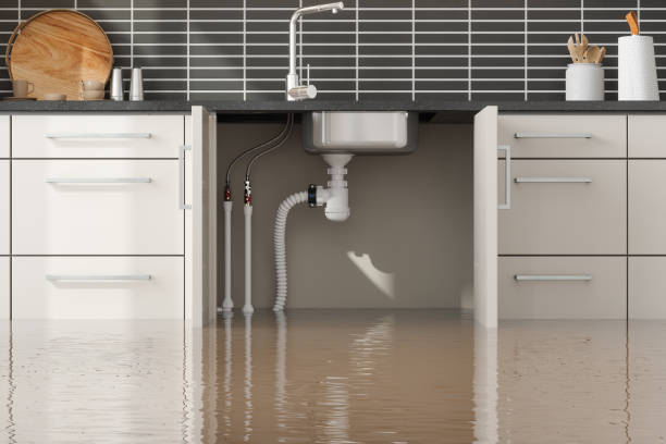 Best Water damage restoration near me  in Eaton, OH